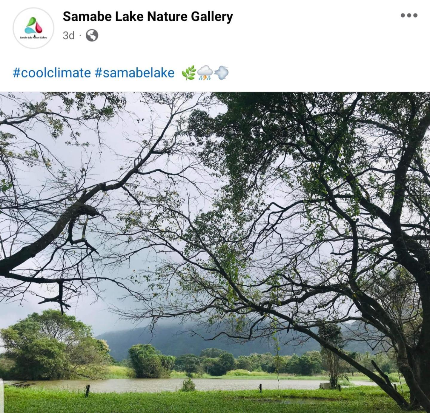Samabe Lake دامبولا المظهر الخارجي الصورة